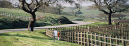 bikingtour2 Packages