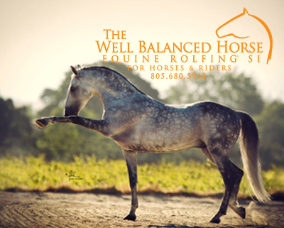 horse showing  flexible and balance movement